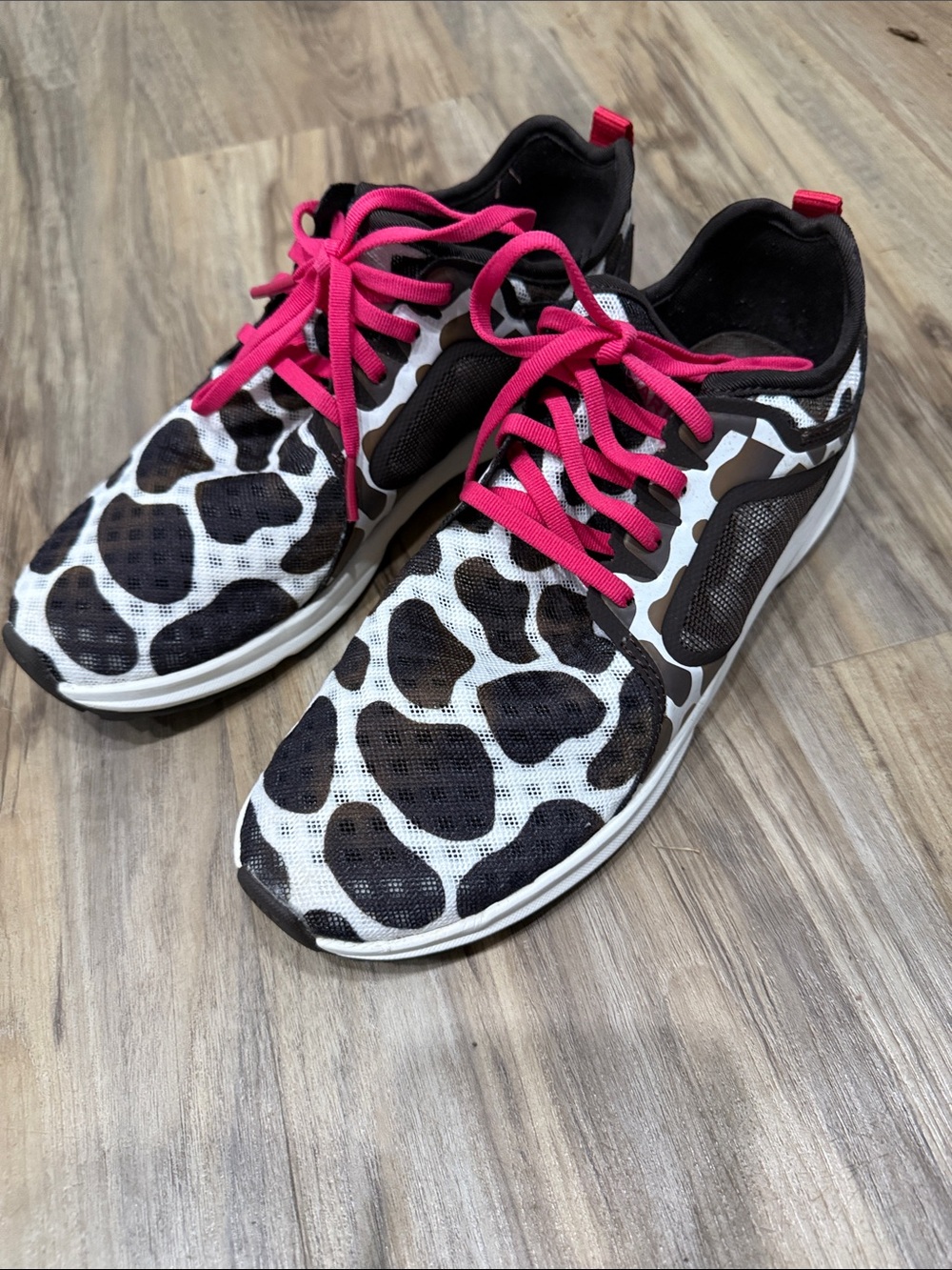 Ariat fuse cow print shoes